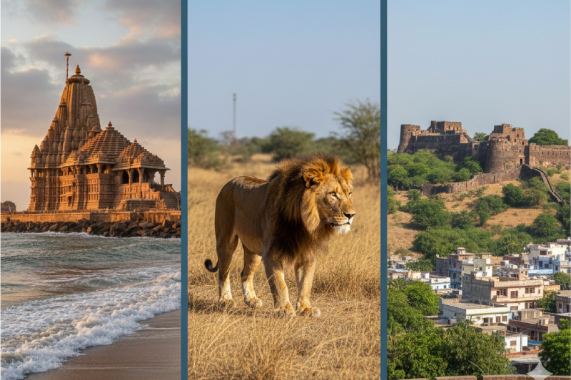 Gir National Park Tour with Asiatic Lions - Wildlife Safari from Somnath